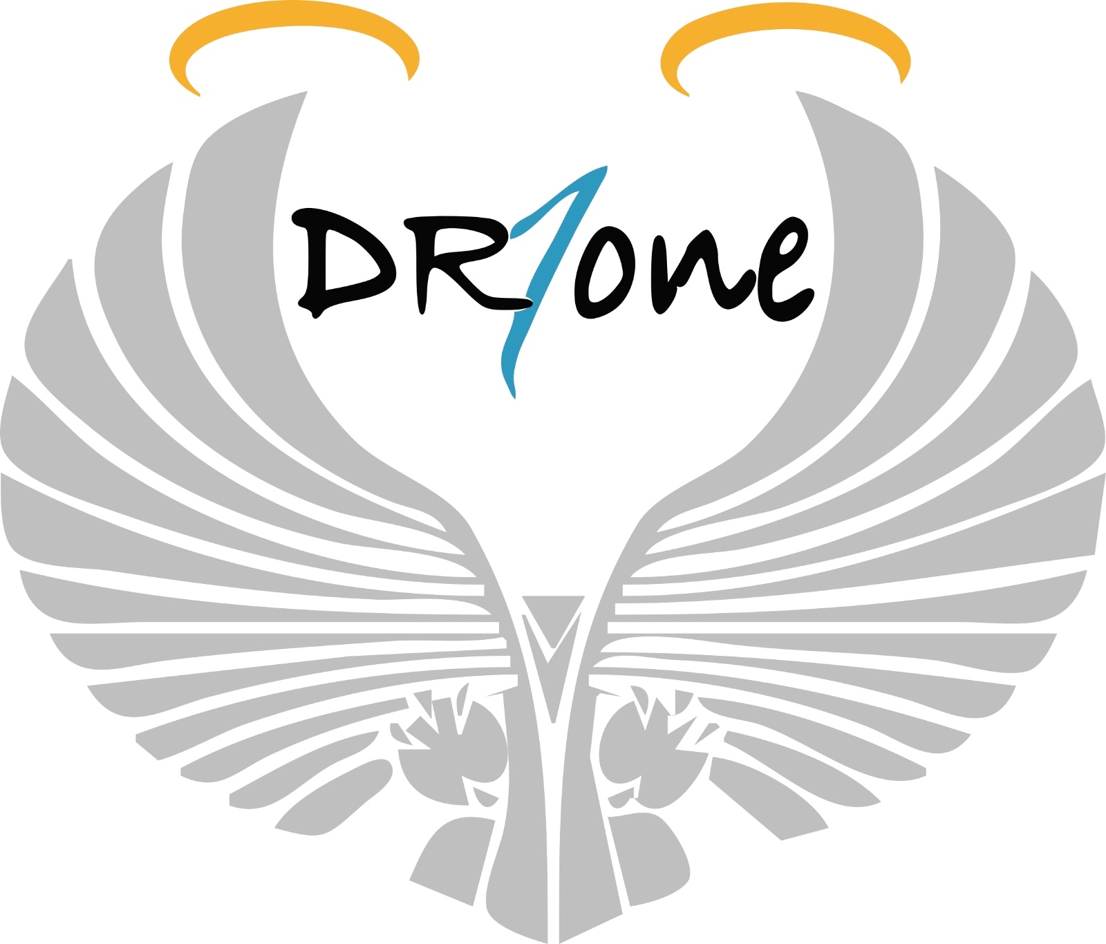 DR1 DroneService